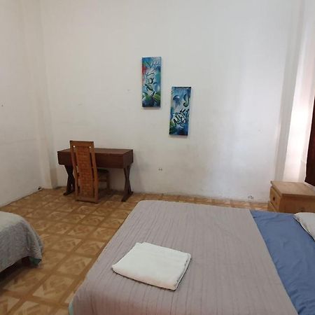 Taiyari Hostal Monterrey Kültér fotó