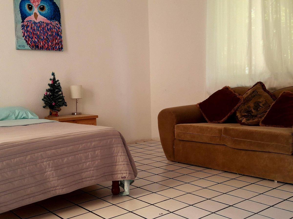 Taiyari Hostal Monterrey Kültér fotó