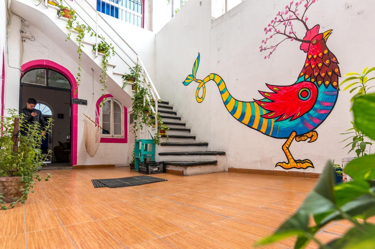 Taiyari Hostal Monterrey Kültér fotó