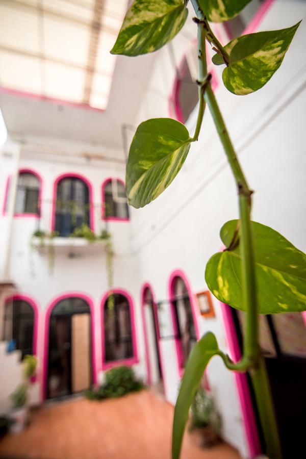 Taiyari Hostal Monterrey Kültér fotó